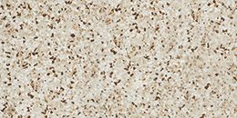 Atlas Concorde Marvel Gems Terrazzo Mix Warm Lappato