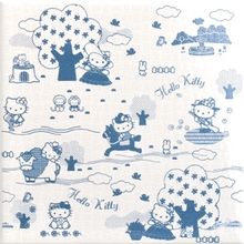 Gamma due Hello kitty Toile Toilepaper Avio 