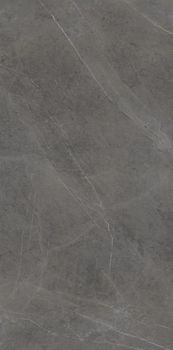 Ariostea Ultra Marmi Grey Marble Luc Shiny