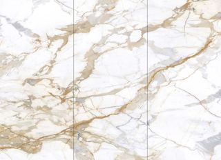 Moreroom Stone Calacatta Gold Calacatta Gold Polished