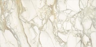 Maxfine Marmi Calacatta Oro Pre-Polished